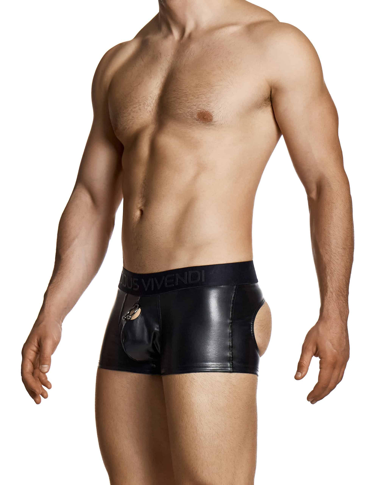 Modus Vivendi Prince Albert Bottomless Boxer Black