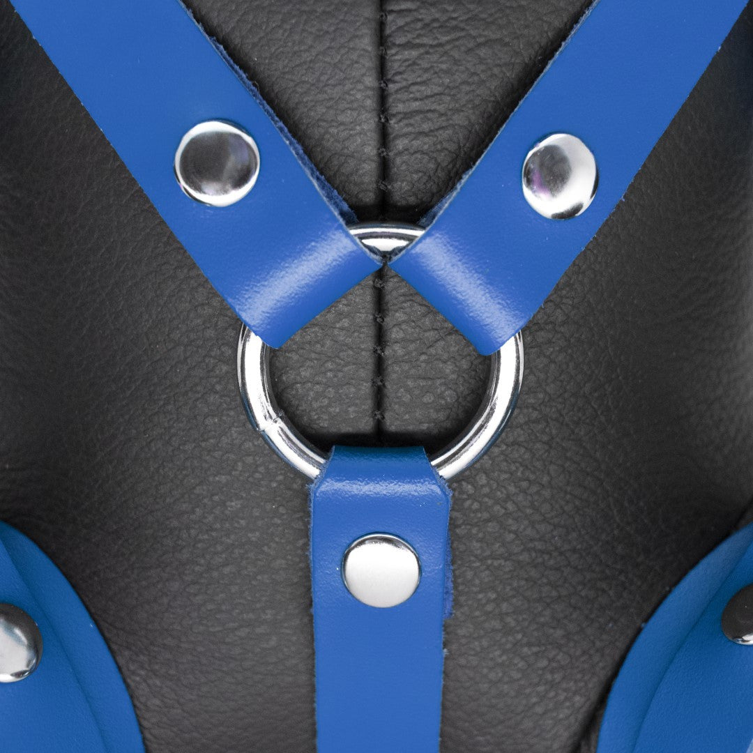 The Red Leather BDSM Bear Bendy Blue