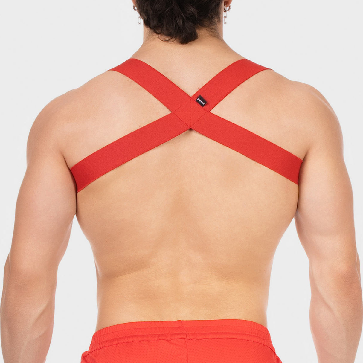 Barcode Berlin Harness Everette Red