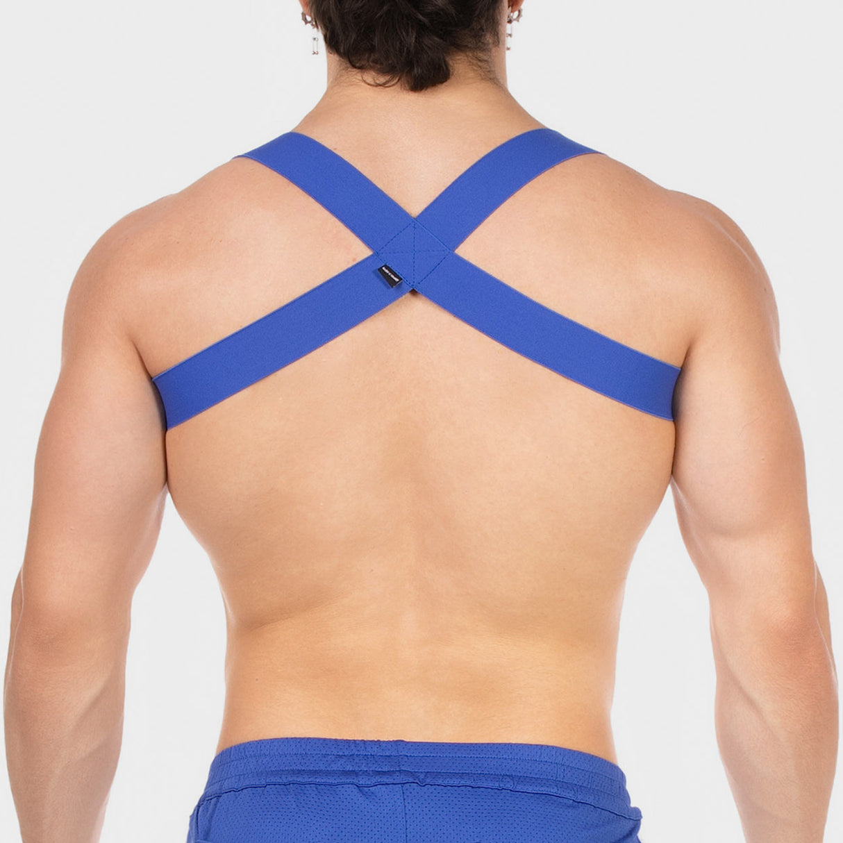 Barcode Berlin Harness Everette Royal