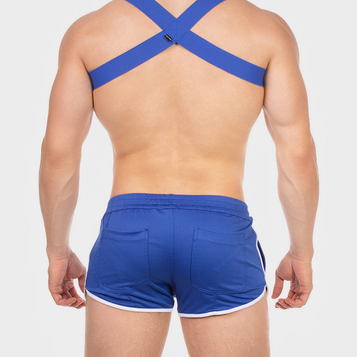 Barcode Berlin Short Norfok Royal