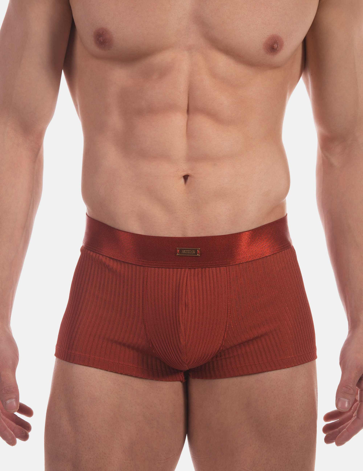 Barcode Berlin Boxer Stellan Rust