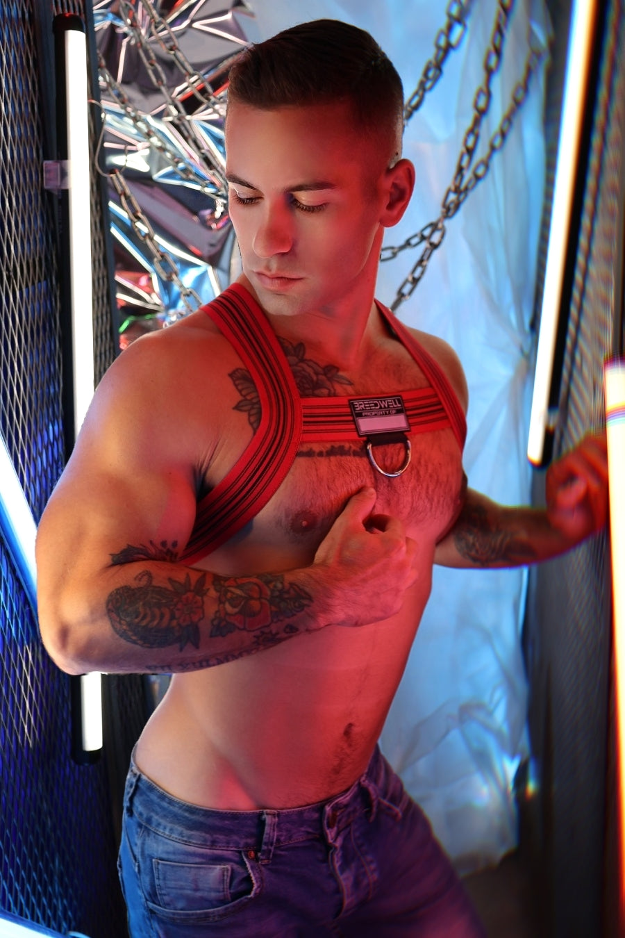 Breedwell Cumdump Bulldog Harness Red