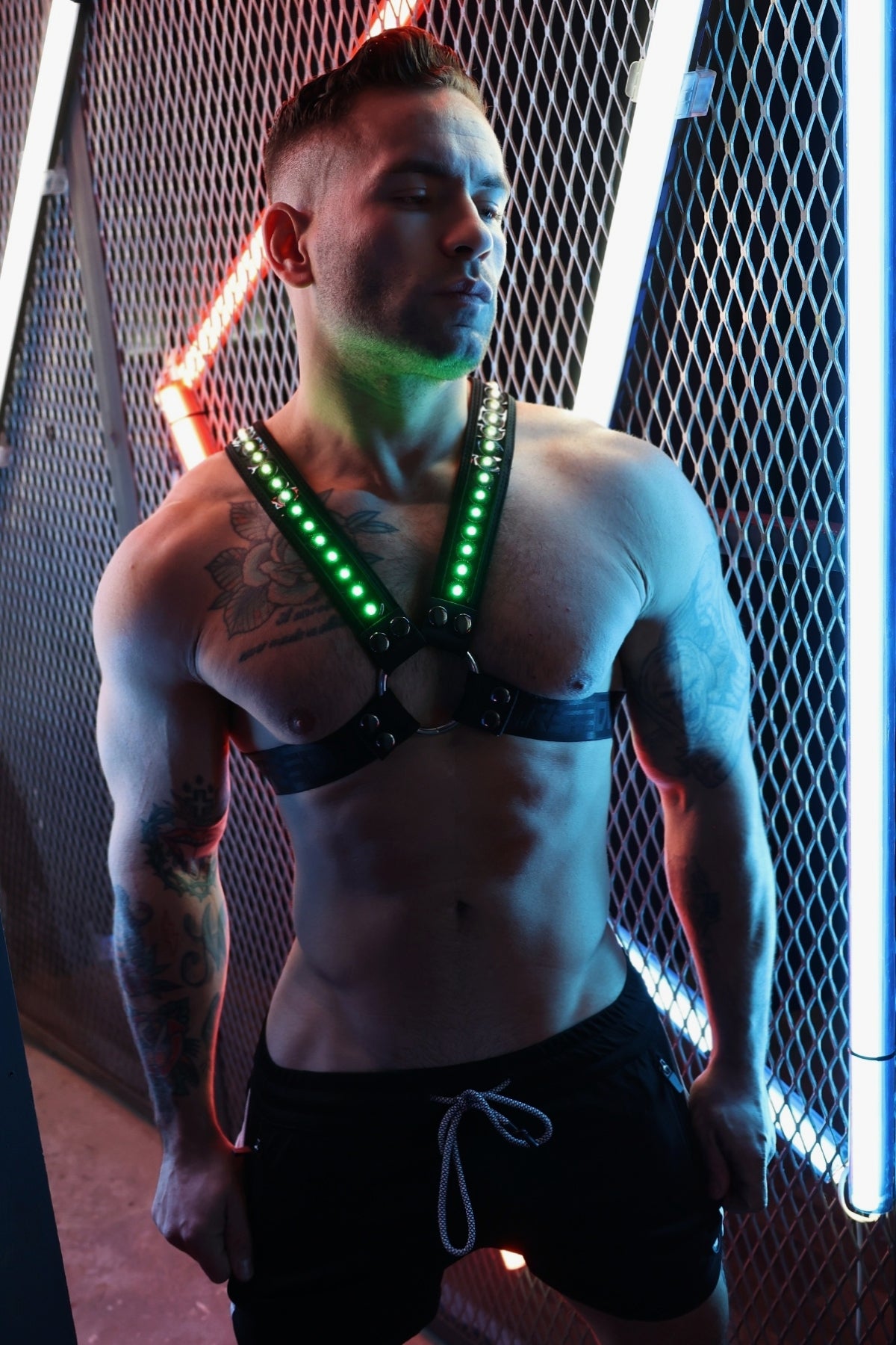 Breedwell Prismaglow Cross Harness