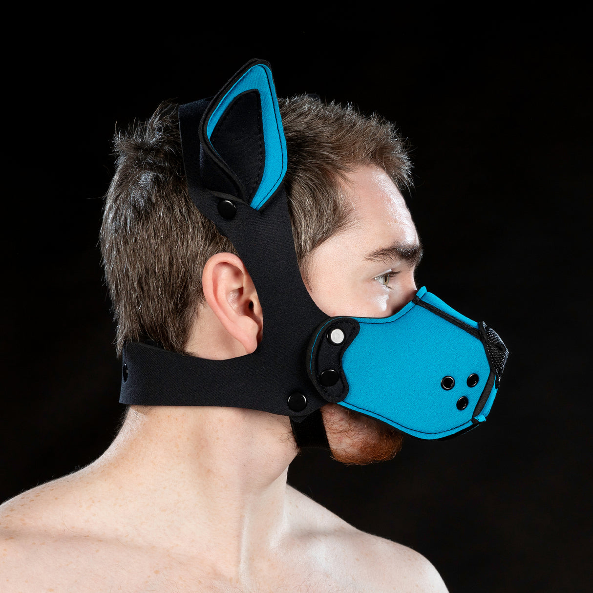 Mr S Leather Neoprene K9 Ears Aqua