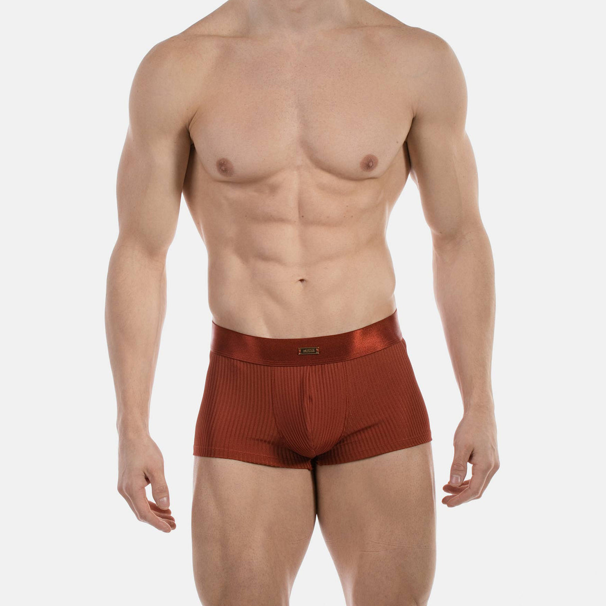 Barcode Berlin Boxer Stellan Rust