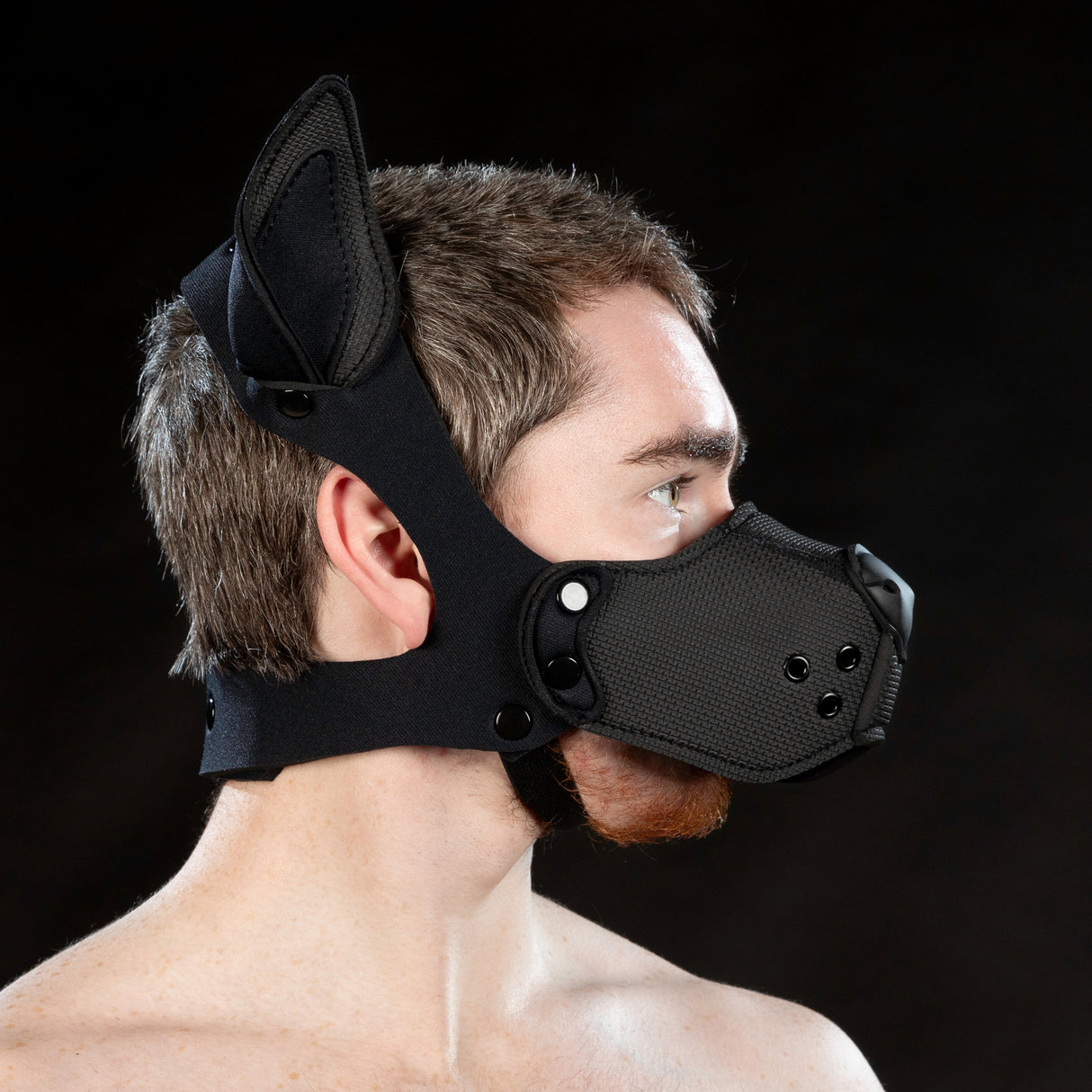 Mr S Leather Neoprene K9 Ears Black