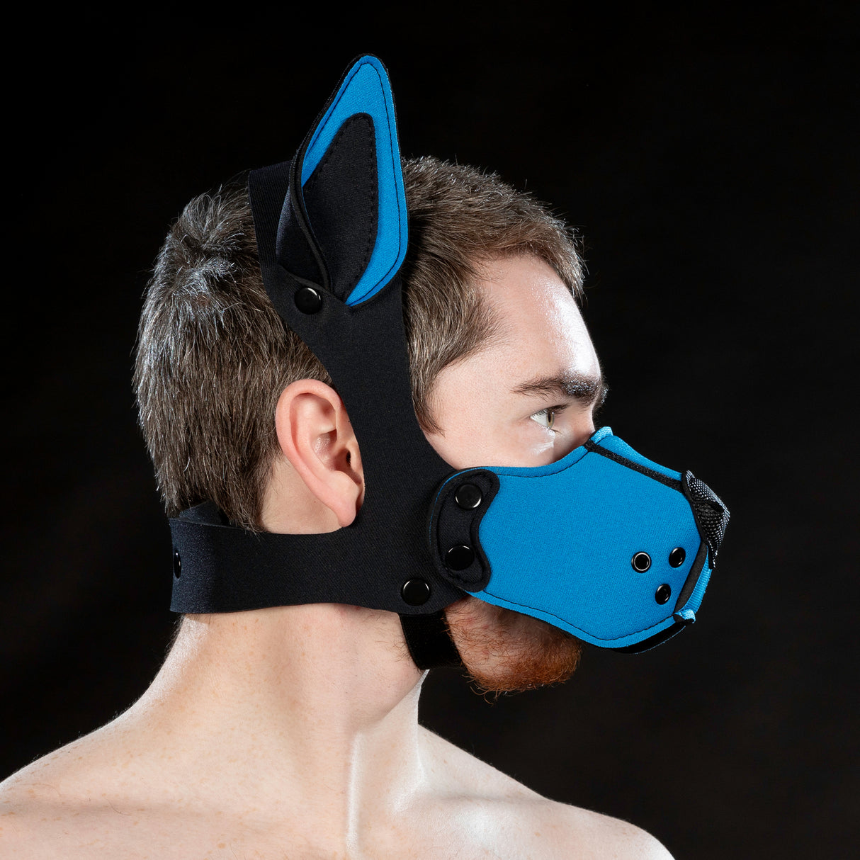 Mr S Leather Neoprene K9 Ears Cobalt