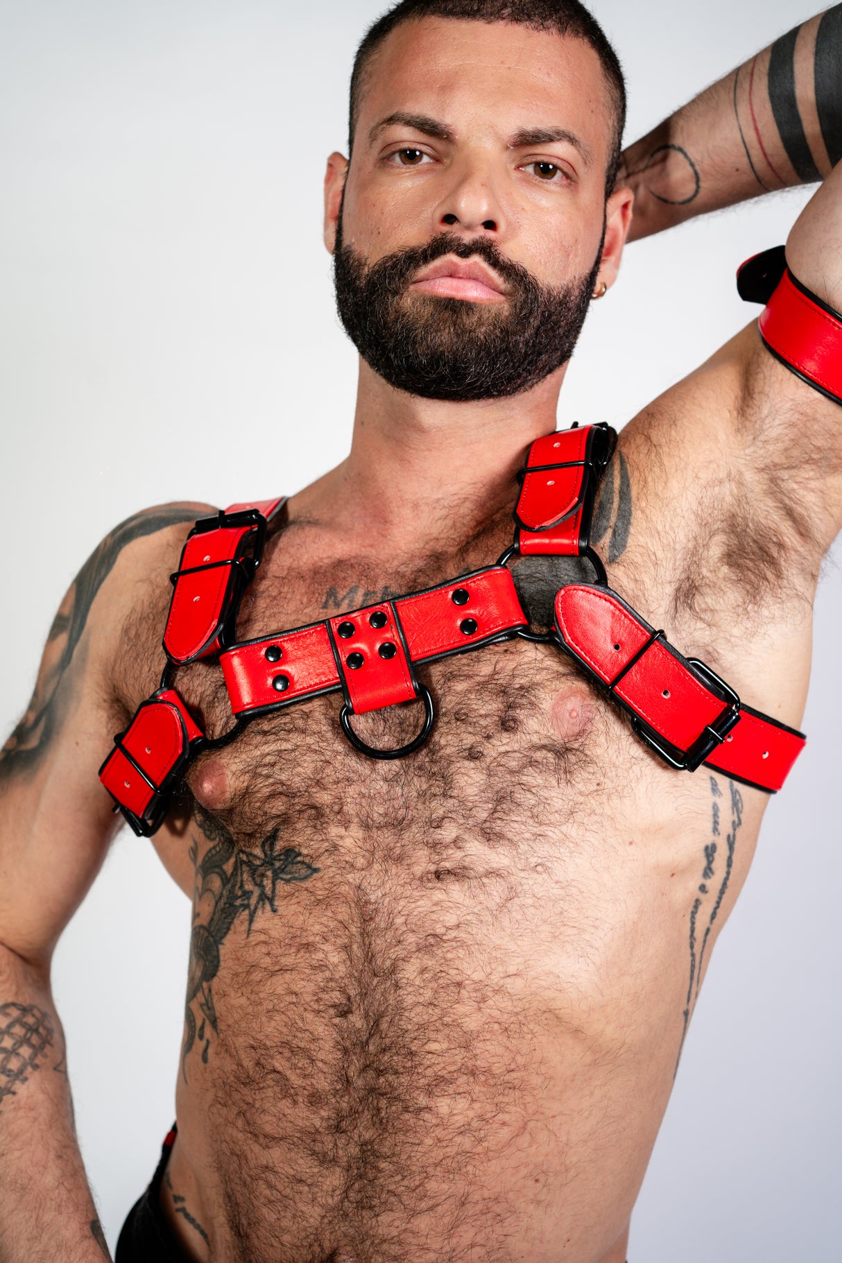 ruff GEAR Bold Leather Bulldog Harness Red