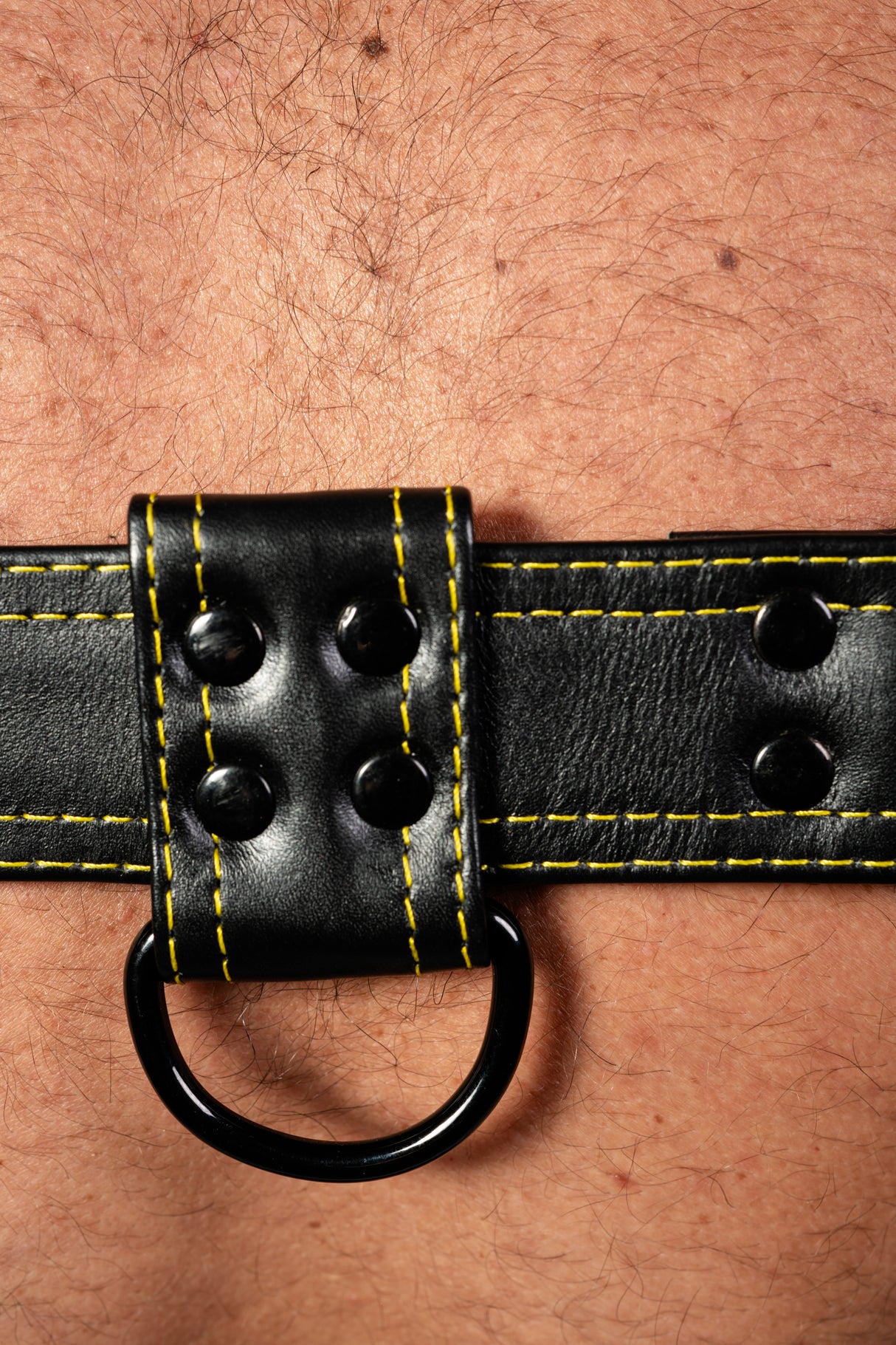ruff GEAR RAW  Leather Bulldog Harness Black Yellow