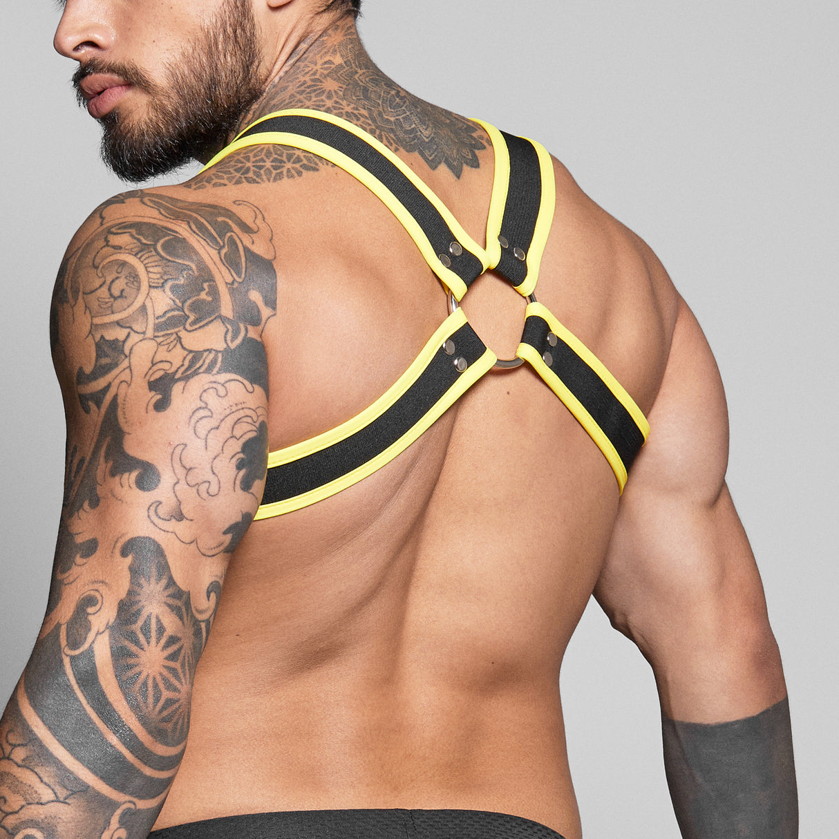 Dale Mas Biker + Harness Black Yellow