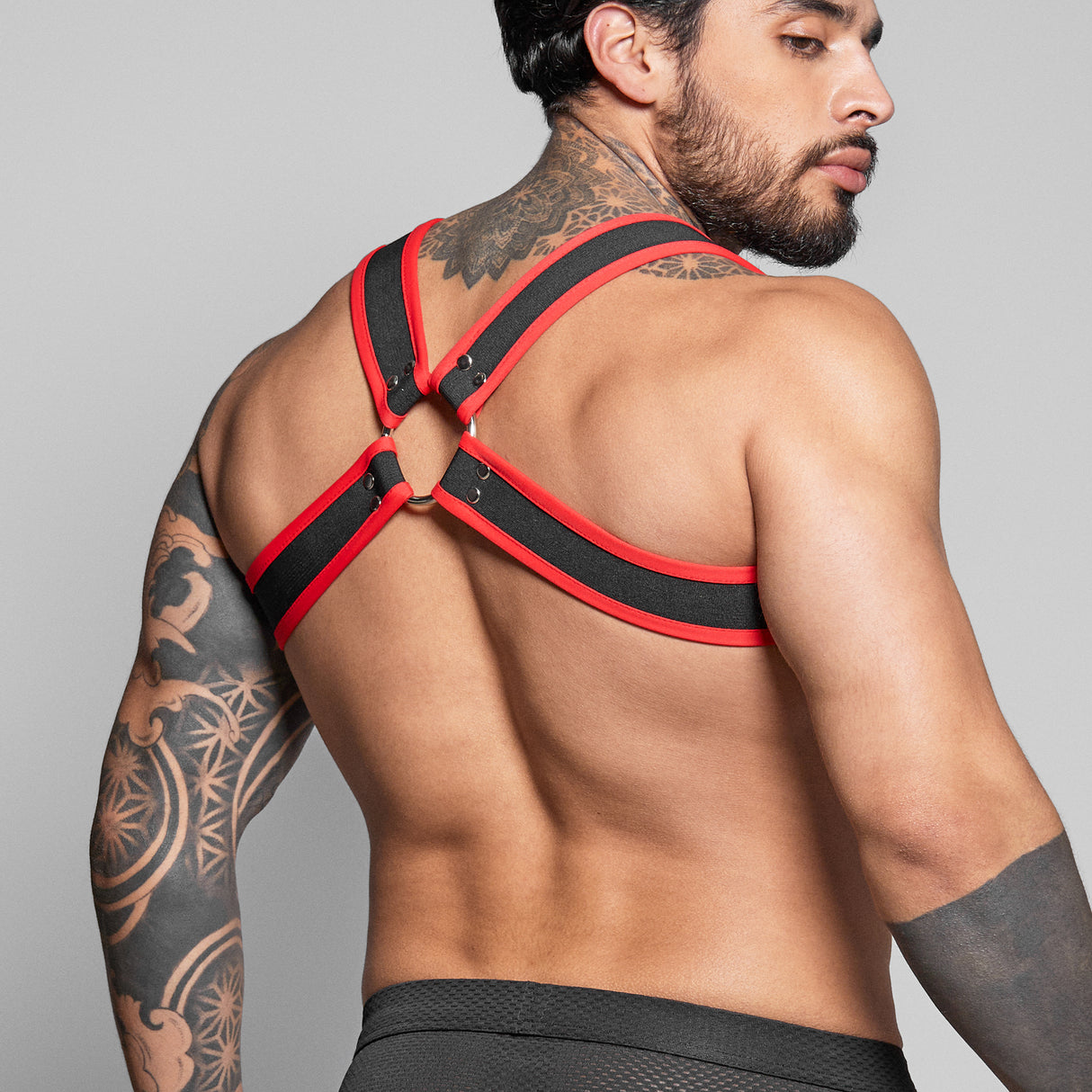 Dale Mas Biker + Harness Black Red