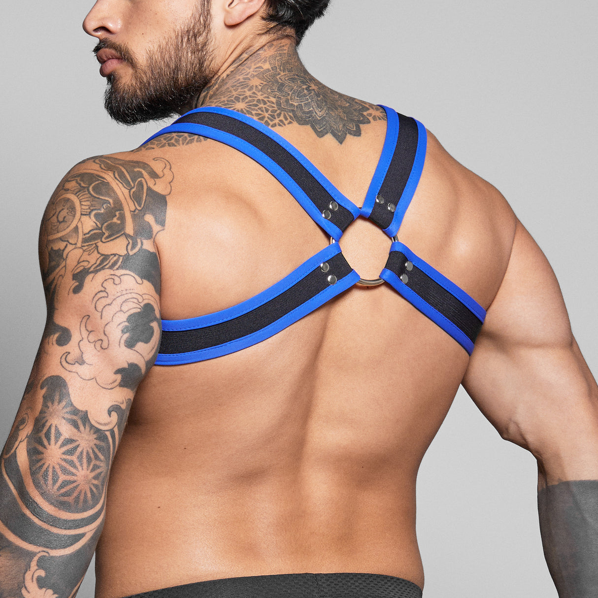 Dale Mas Biker + Harness Black Blue