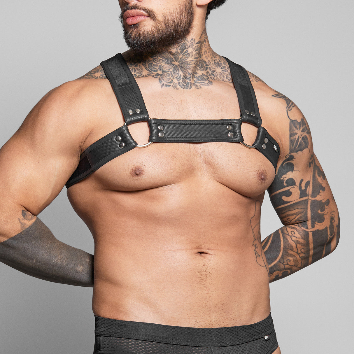 Dale Mas Biker + Harness Black