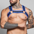 Dale Mas Biker + Harness Black Blue