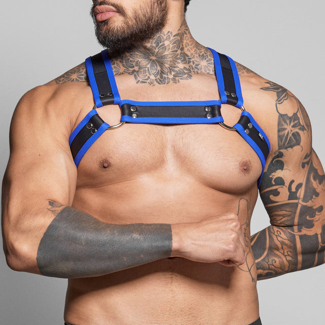 Dale Mas Biker + Harness Black Blue