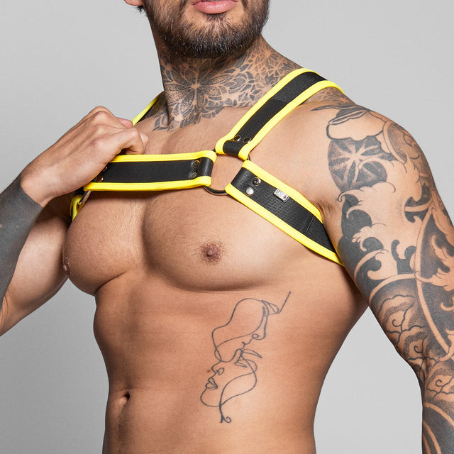Dale Mas Biker + Harness Black Yellow