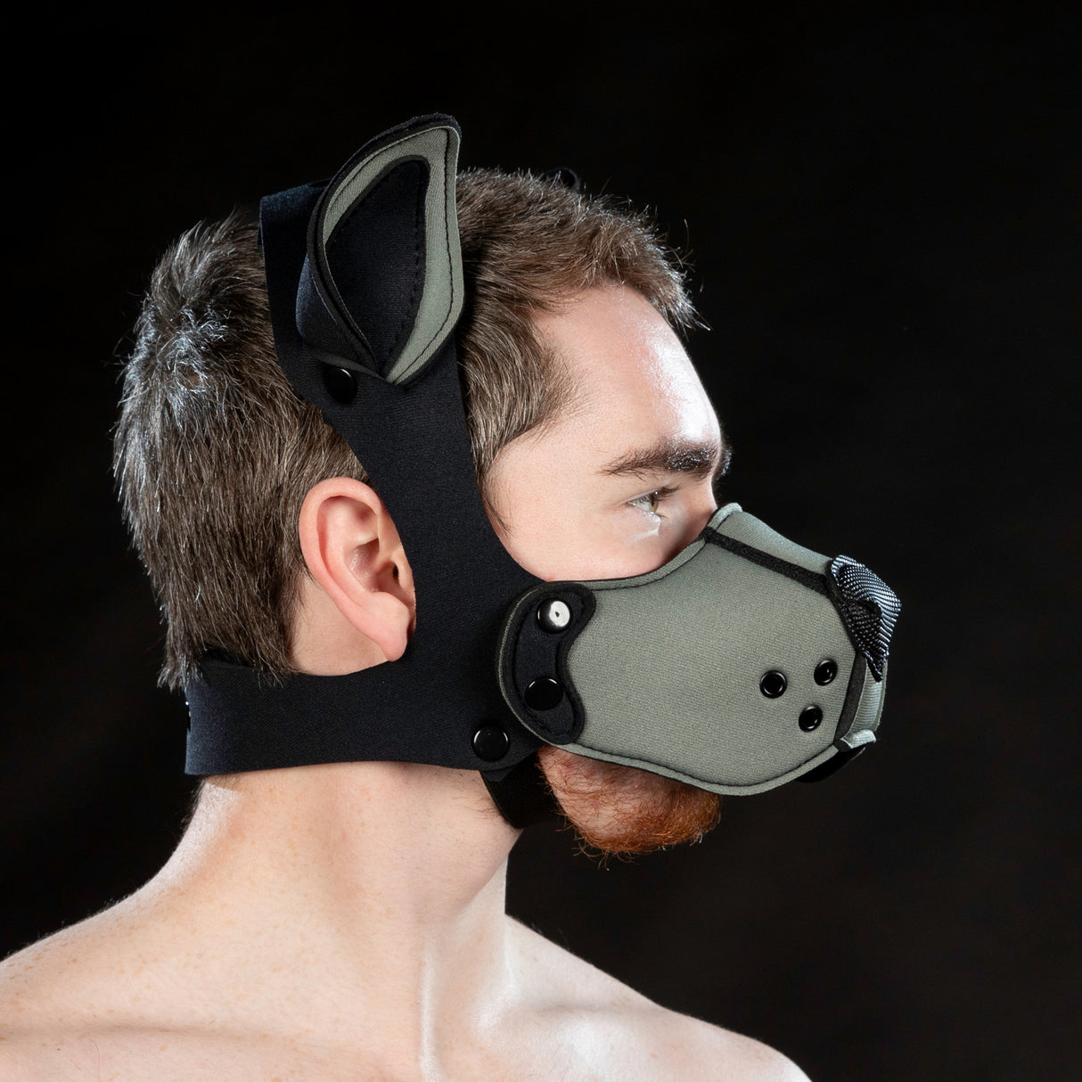 Mr S Leather Neoprene K9 Ears Grey