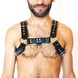 KINKD Adjustable H Harness Black