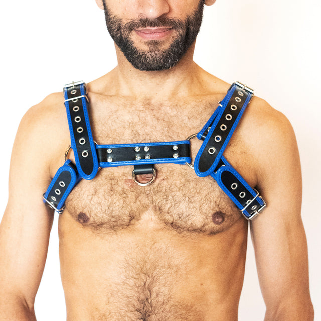KINKD Adjustable H Harness Black Blue