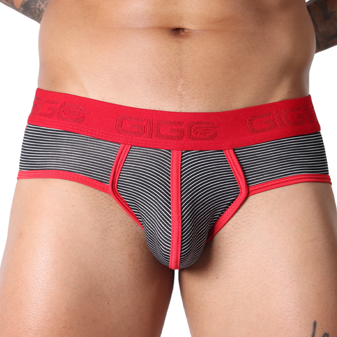 Gigo Liberty Brief