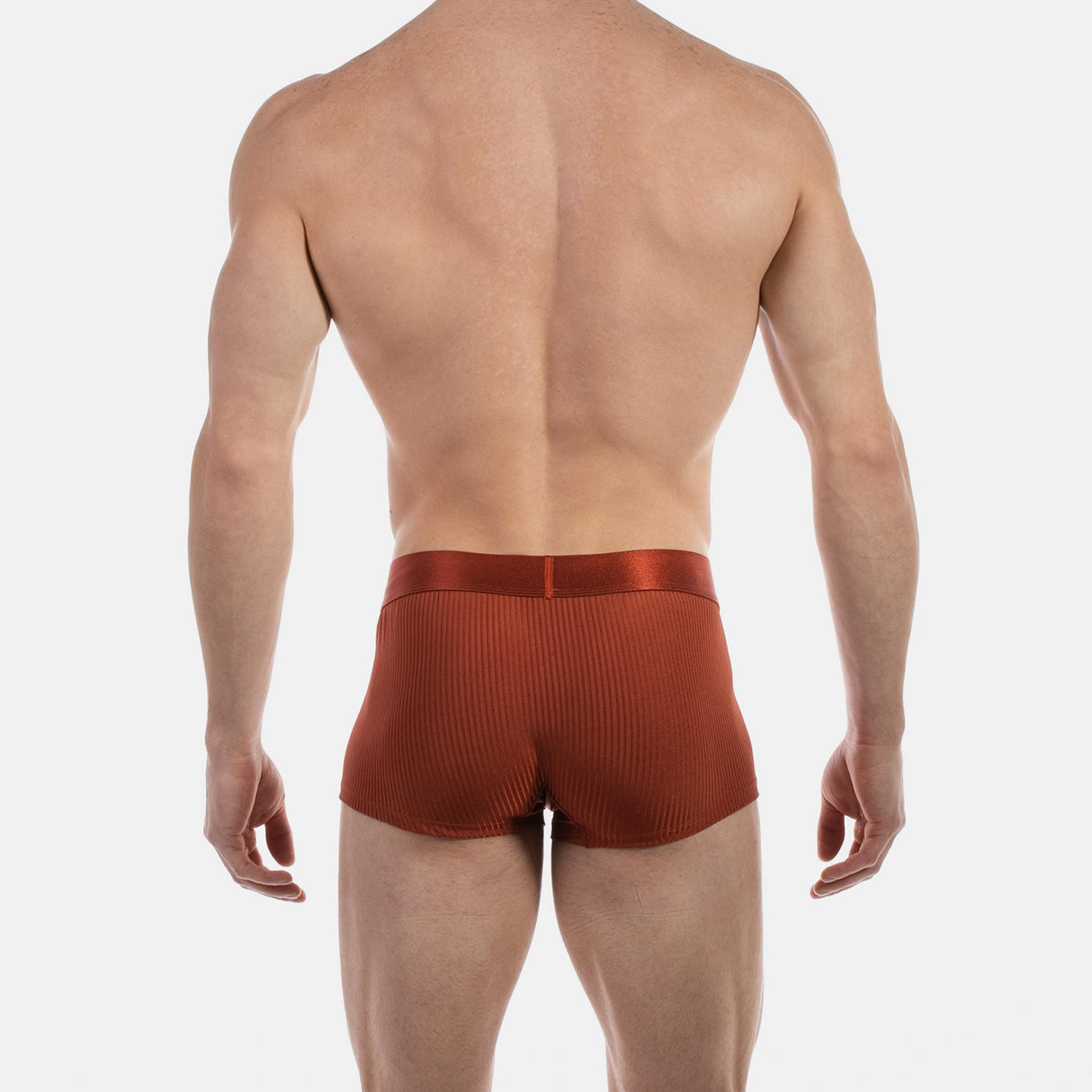 Barcode Berlin Boxer Stellan Rust