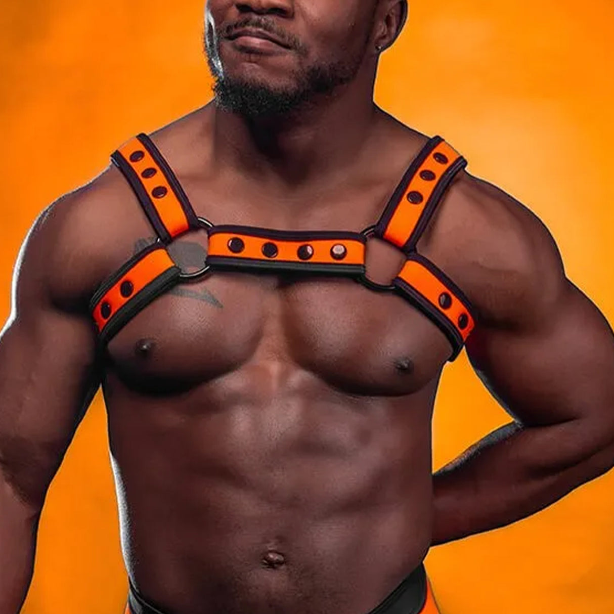 Mr S Leather Neo Bold Colour Bulldog Harness Orange