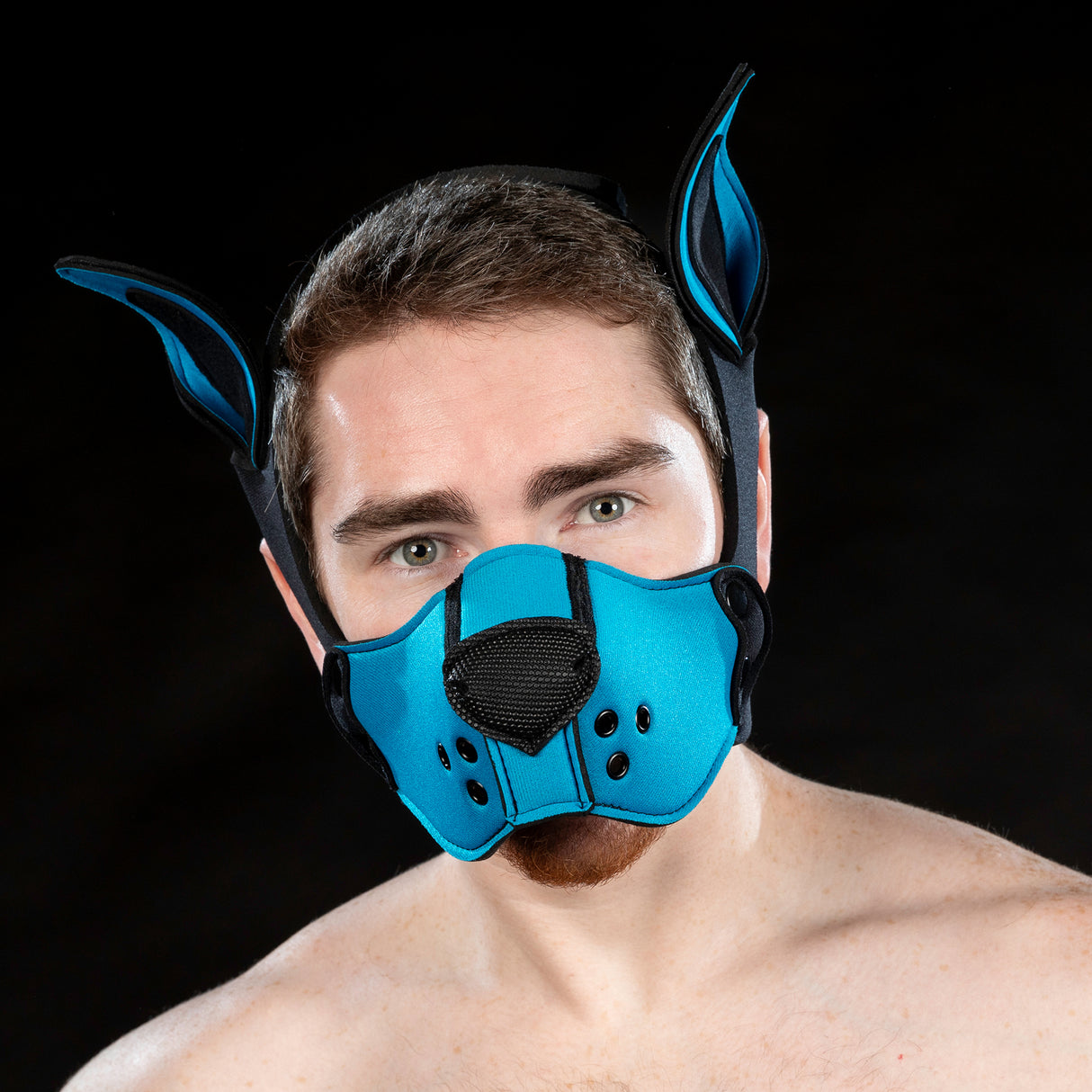 Mr S Leather Neoprene K9 Ears Aqua