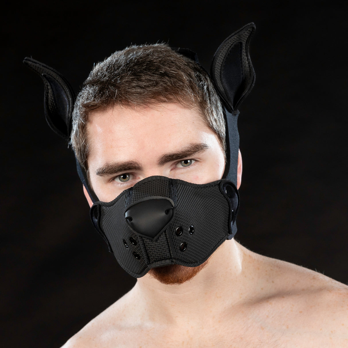 Mr S Leather Neoprene K9 Ears Black
