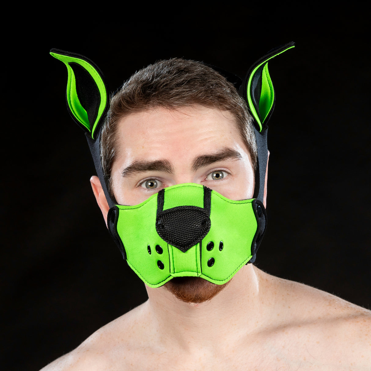 Mr S Leather Neoprene K9 Ears Lime