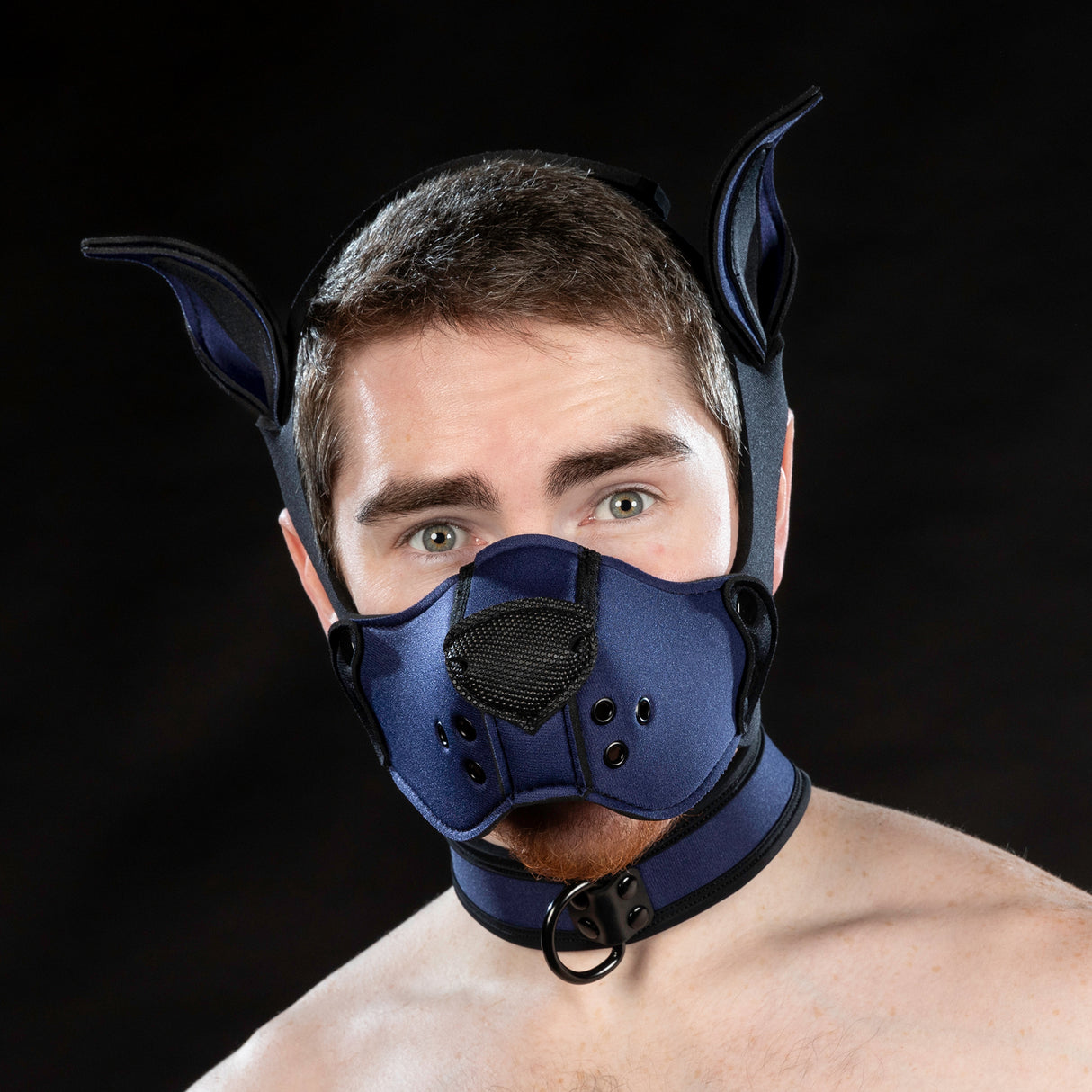 Mr S Leather Neoprene K9 Ears Navy