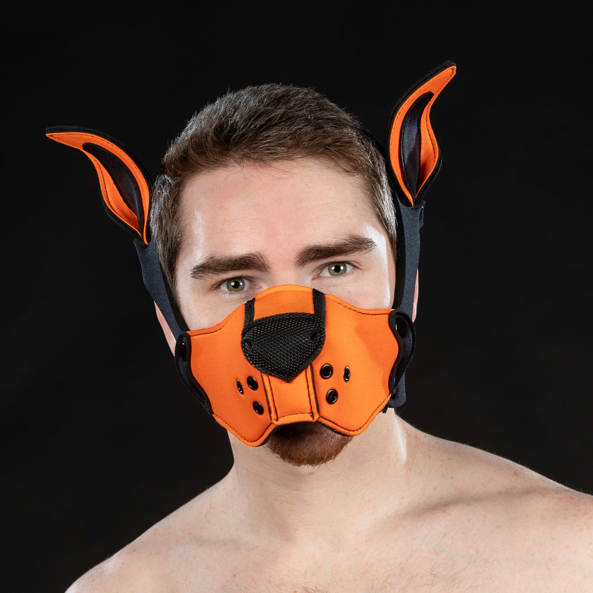 Mr S Leather Neoprene K9 Ears Orange
