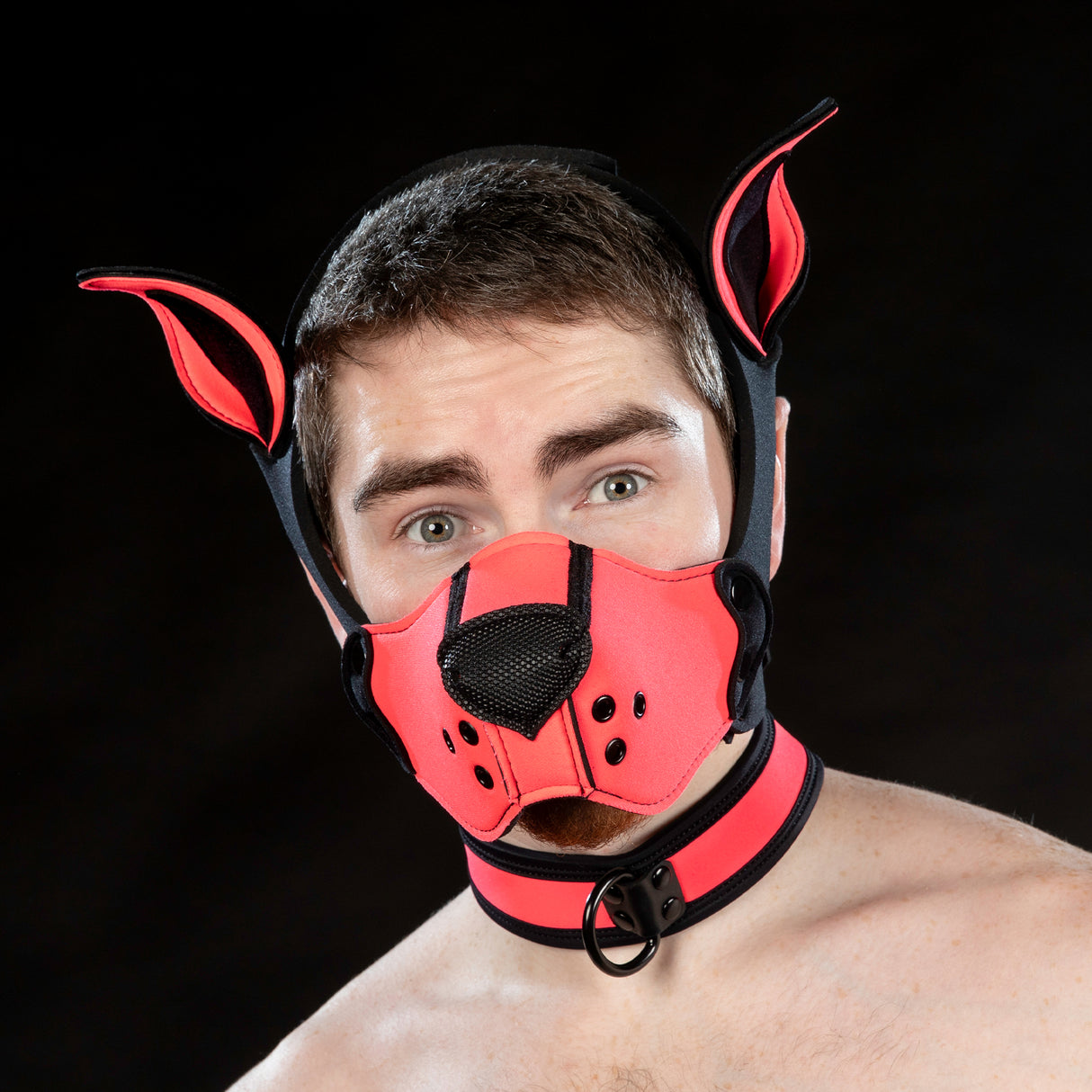 Mr S Leather Neoprene K9 Ears Pink