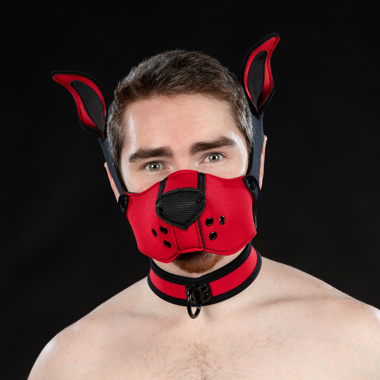 Mr S Leather Neoprene K9 Ears Red