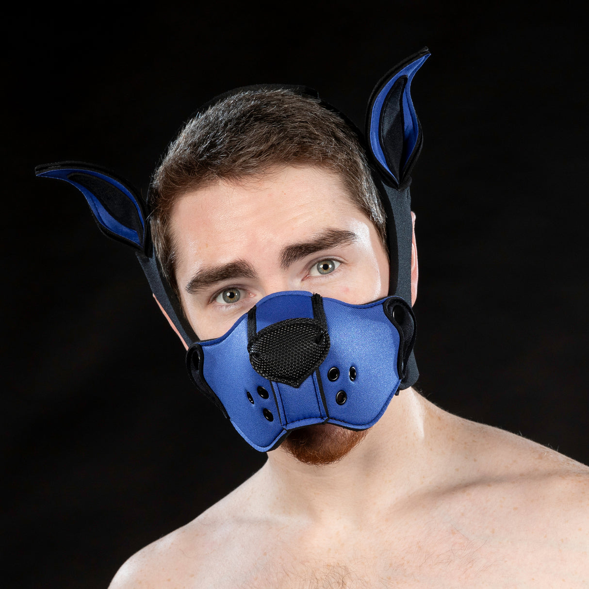 Mr S Leather Neoprene K9 Ears Royal