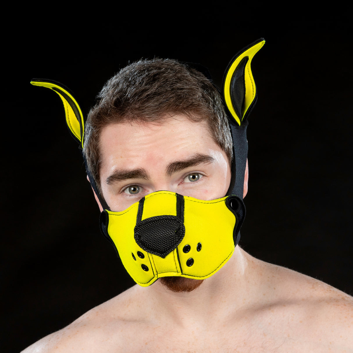 Mr S Leather Neoprene K9 Muzzle Yellow