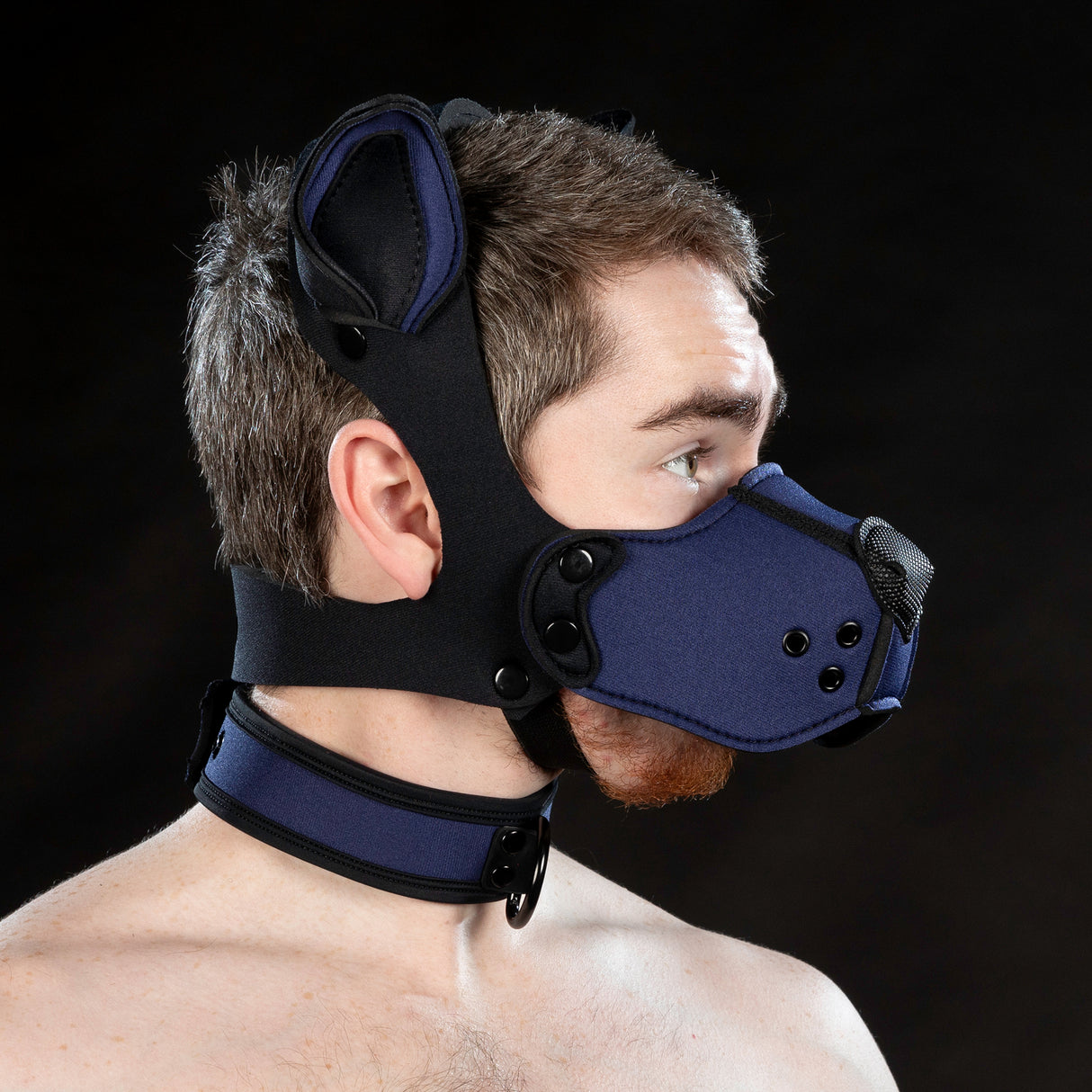 Mr S Leather Neoprene K9 Ears Navy