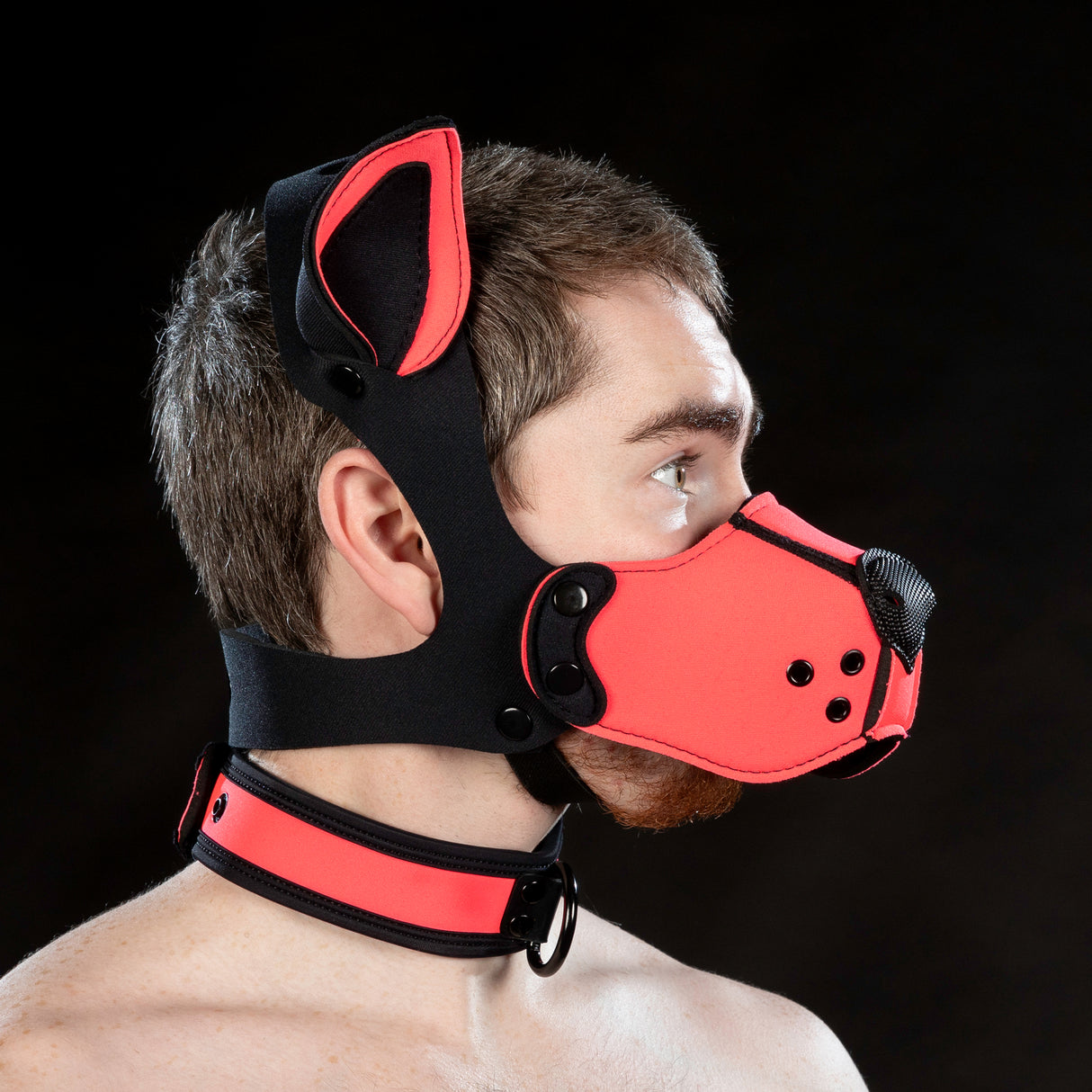 Mr S Leather Neoprene K9 Ears Pink