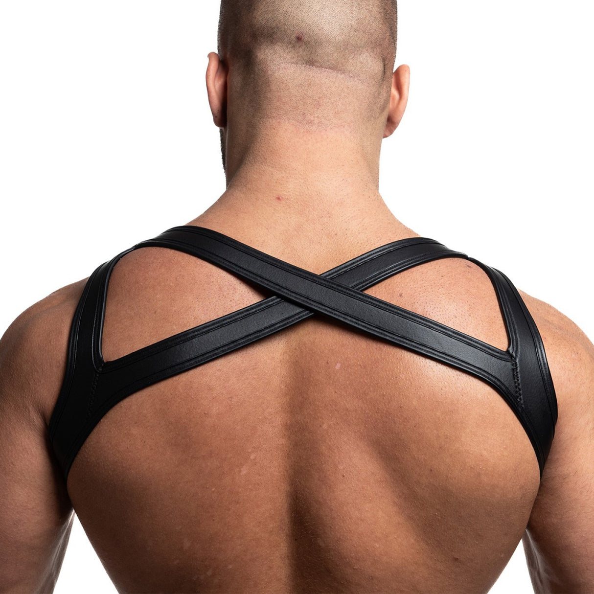 Spartas Icaro Neo Cross Harness Black