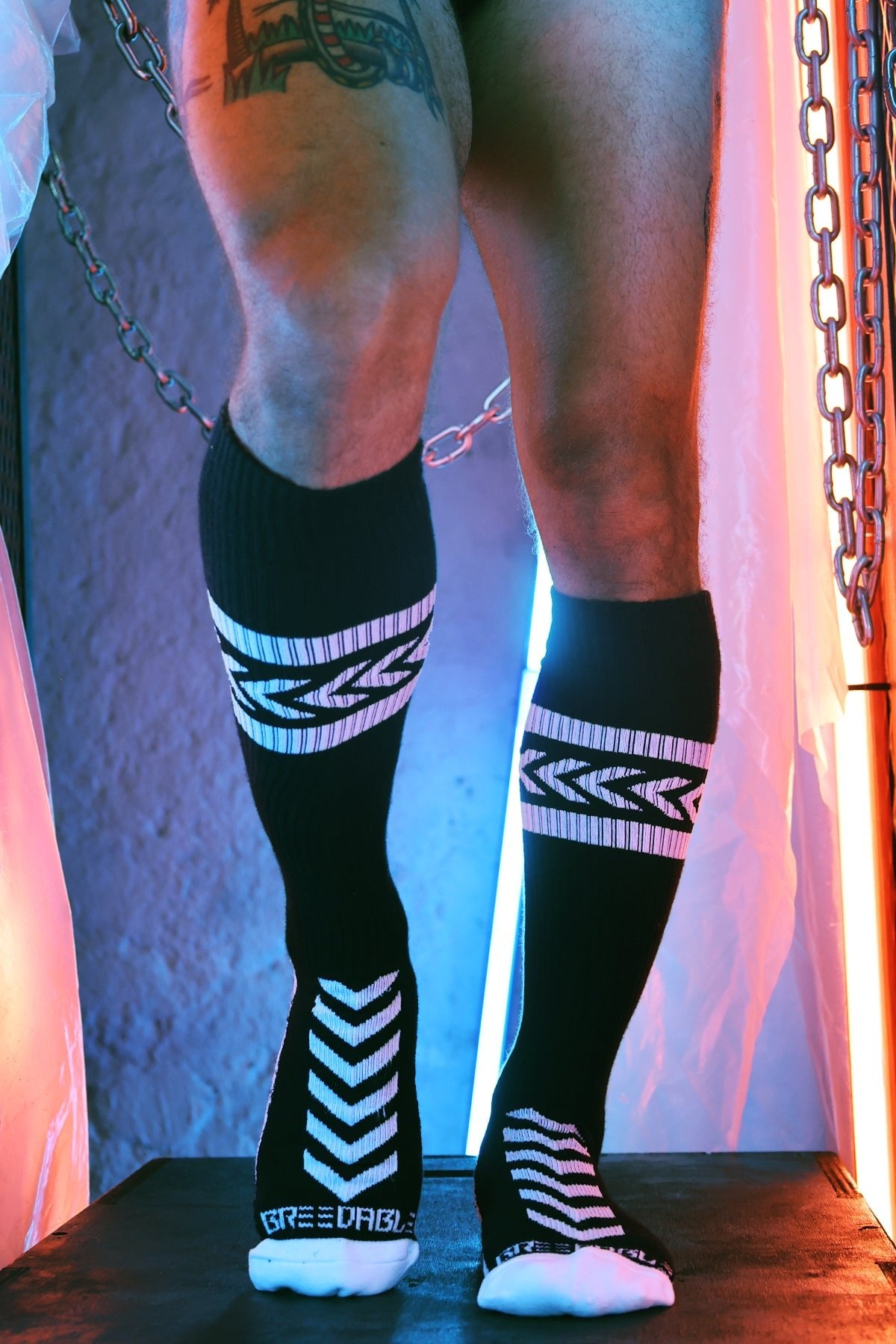 Breedwell Daddys Favourite Socks Black - FETCH