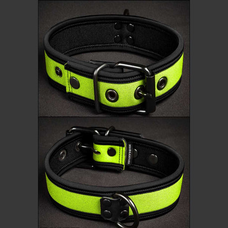 Mr S Leather Neoprene Puppy Collar Lime Black