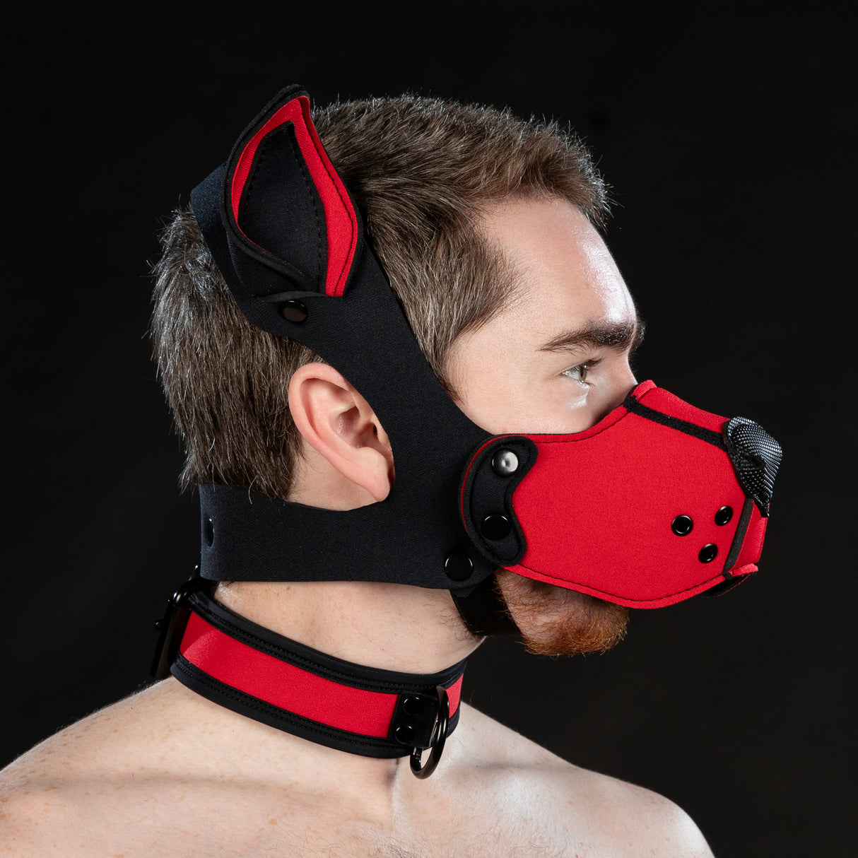 Mr S Leather Neoprene K9 Ears Red