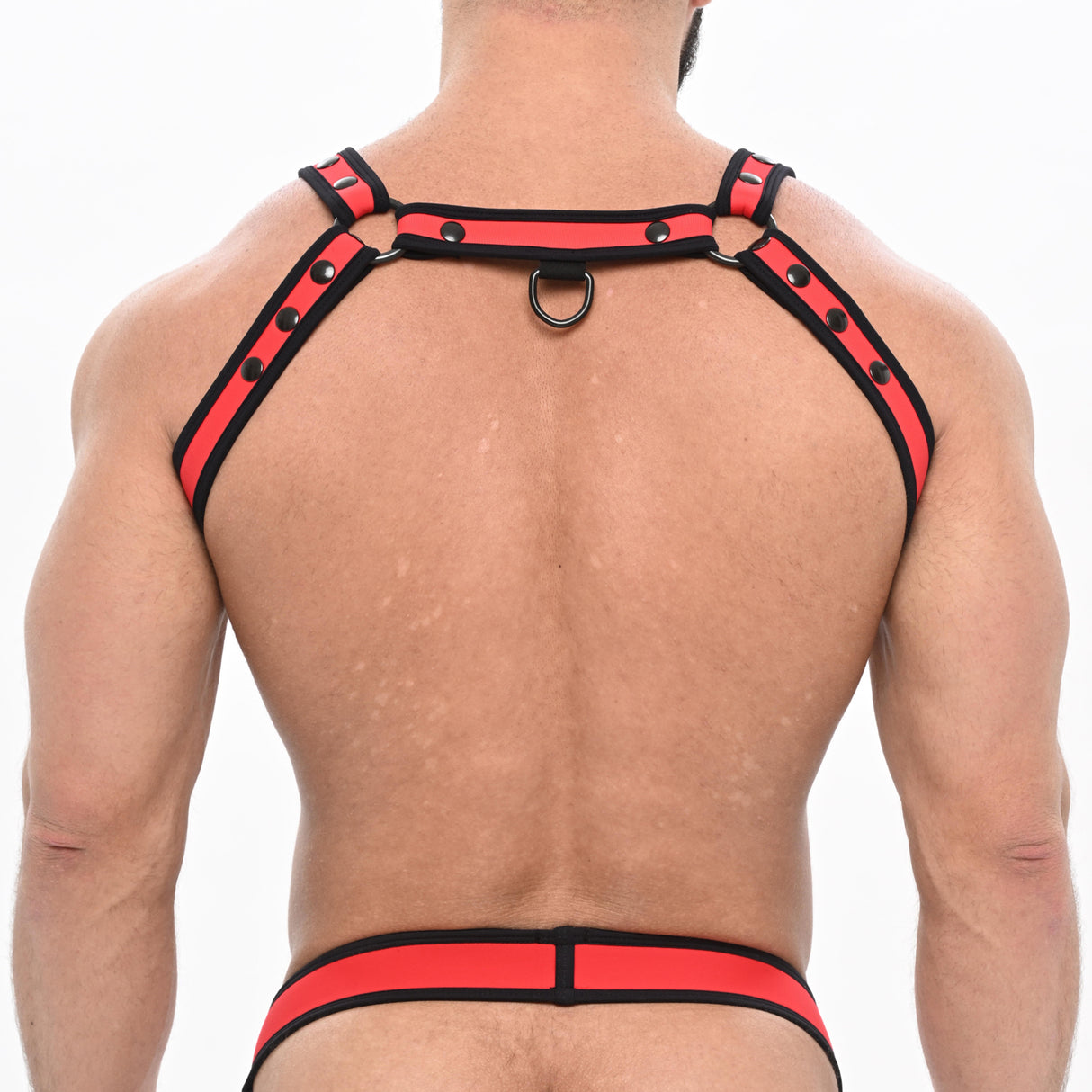 Spartas Army Neo Crossbow Harness Red Black