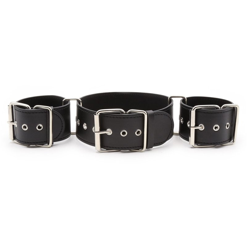 BASIXXX Immoboliser Restraints