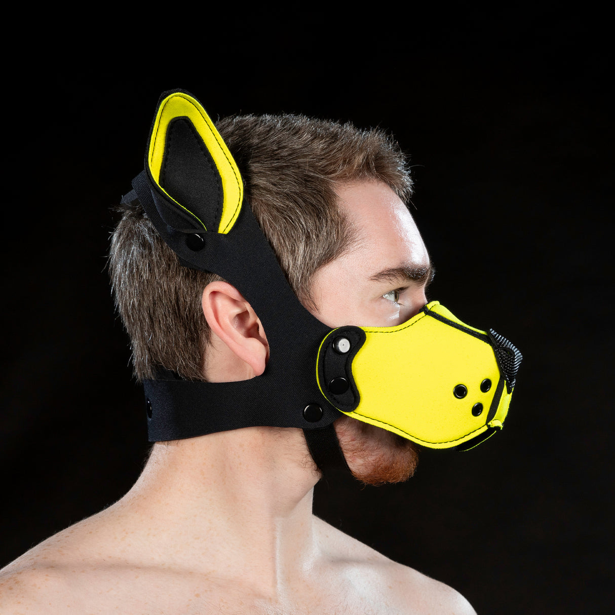 Mr S Leather Neoprene K9 Ears Yellow