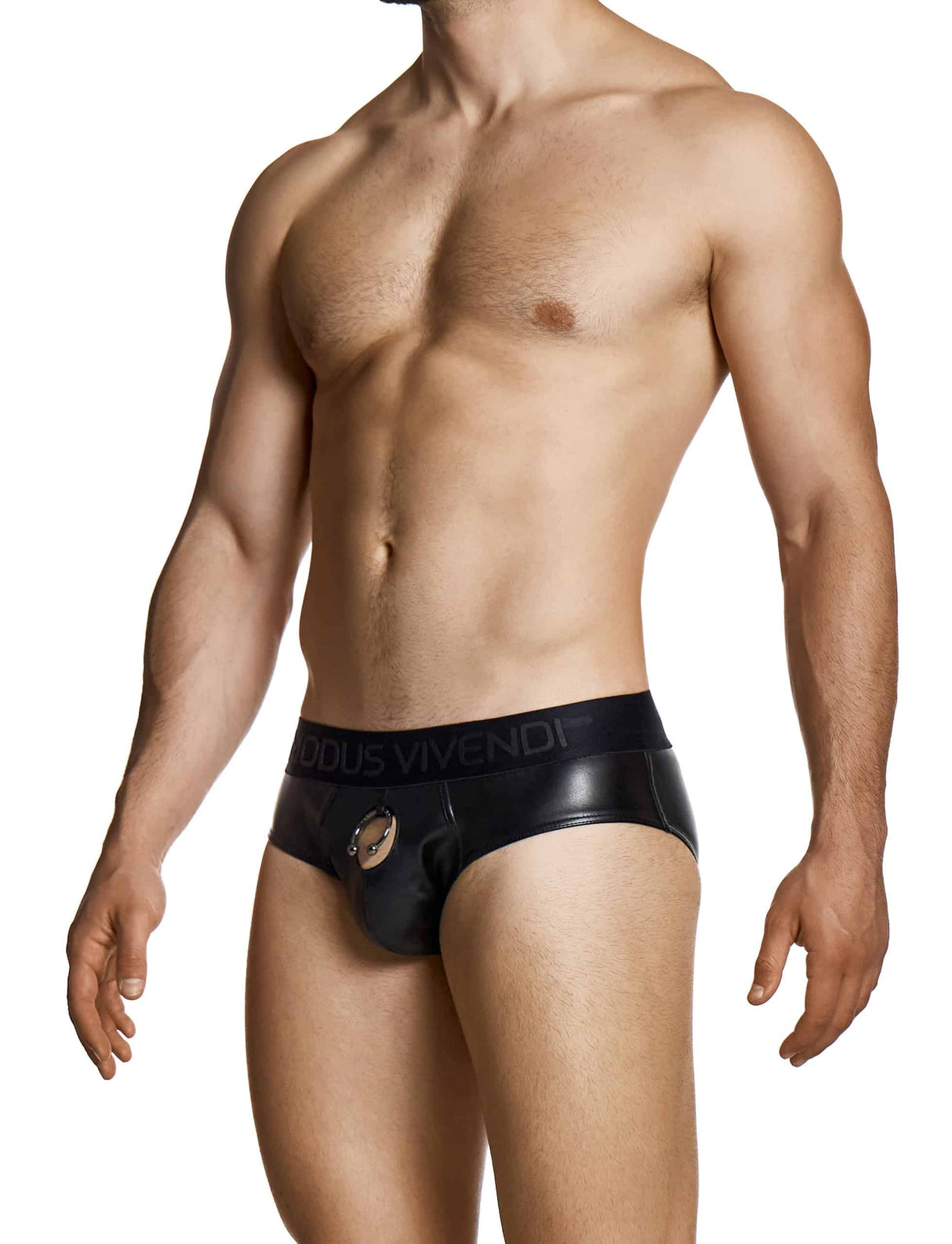 Modus Vivendi Prince Albert Classic Brief Black