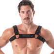 Leader Neoprene Harness Black Black