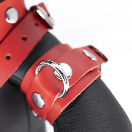 The Red Leather BDSM Bear Bendy Red