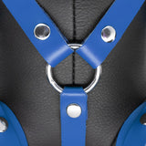 The Red Leather BDSM Bear Bendy Blue