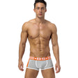 0850 Boxer Tbilisi Grey